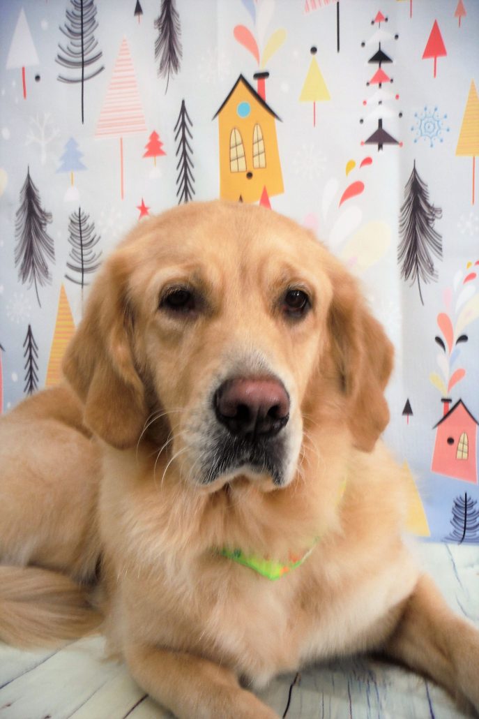 ベティーちゃん