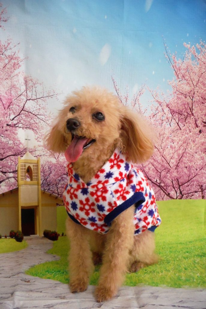 ミルキーちゃん