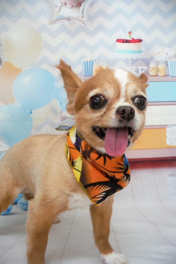 すみれちゃん