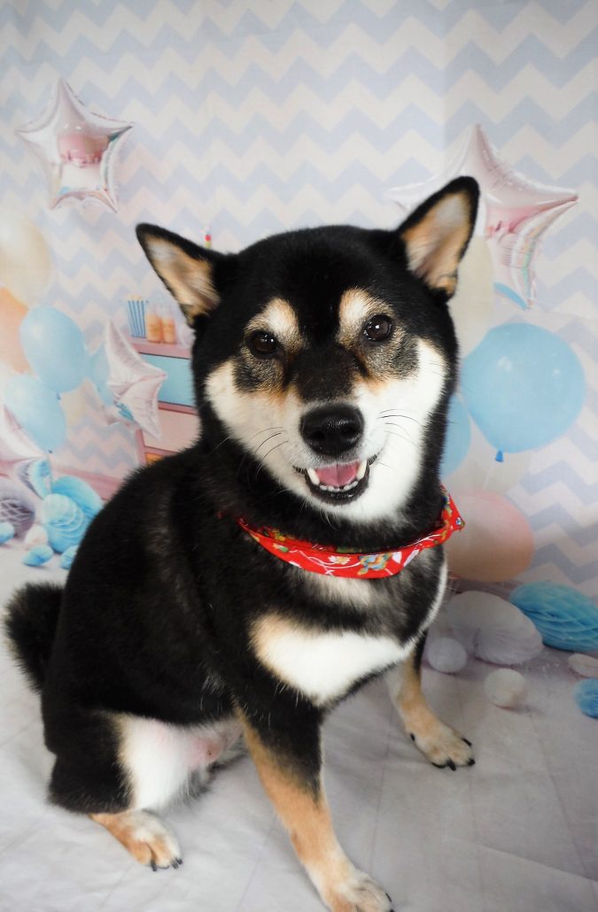 ノアちゃん