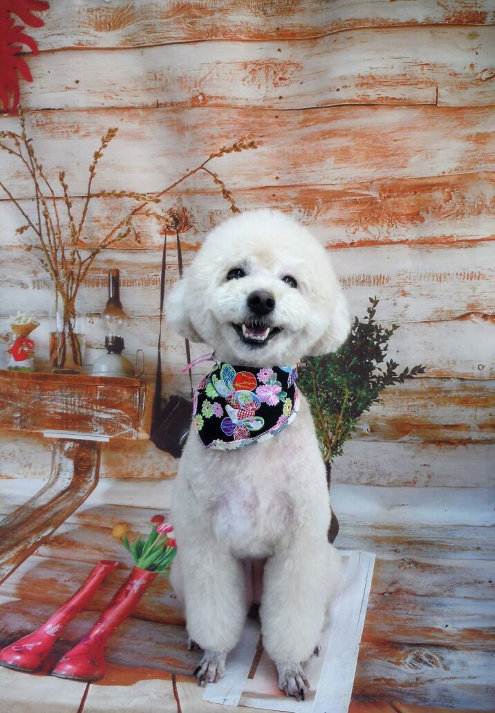 モコちゃん