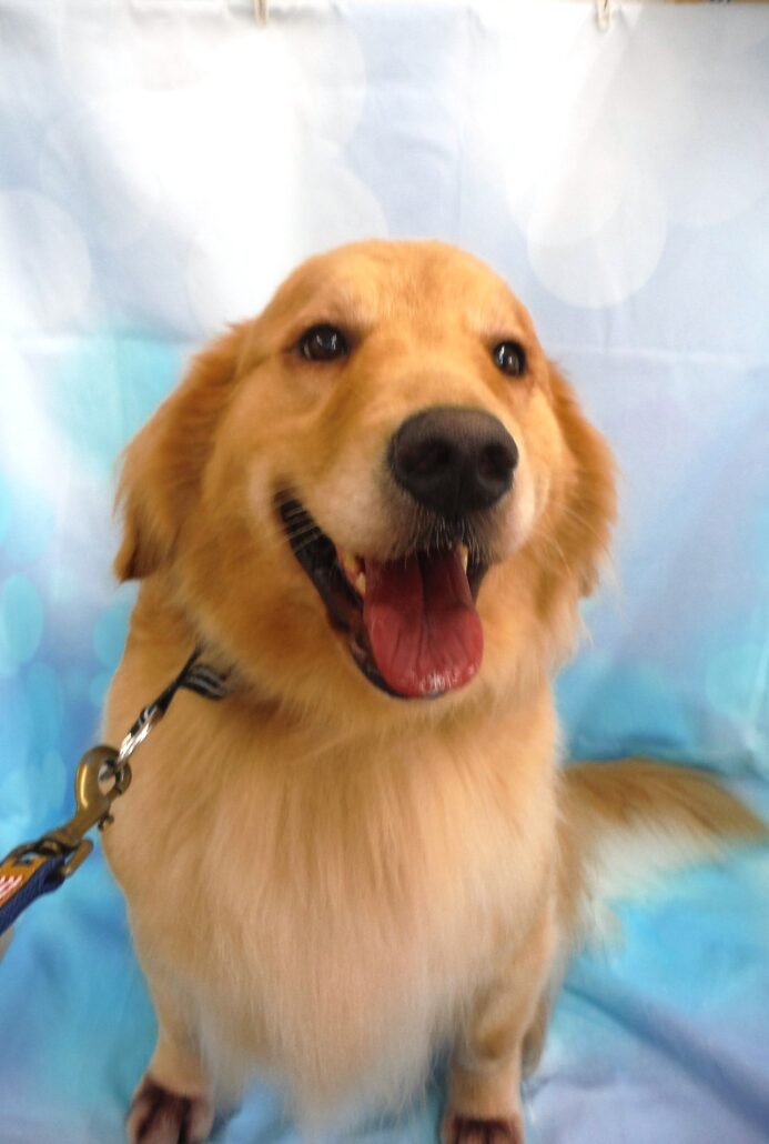 シェリーちゃん