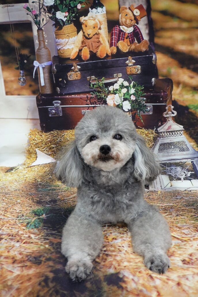 当店ひめ