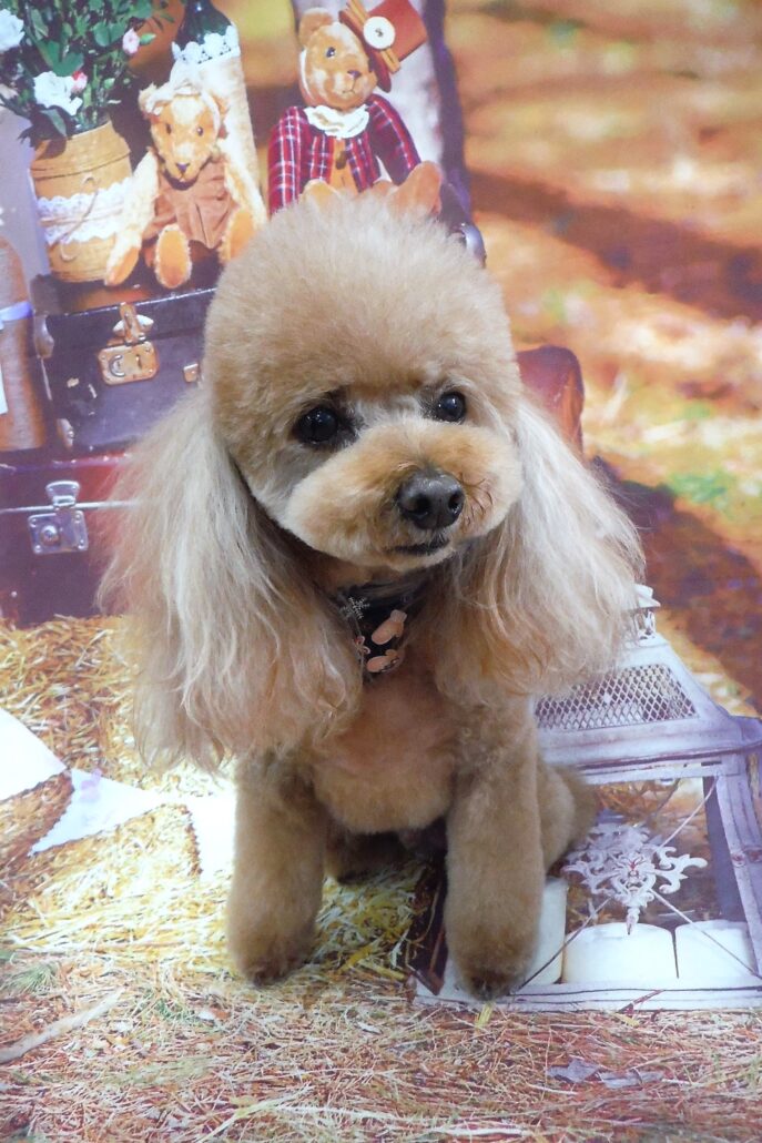 のんちゃん