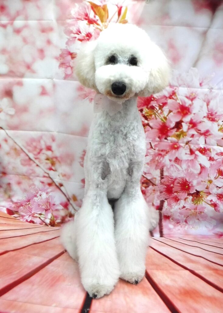 あさひちゃん