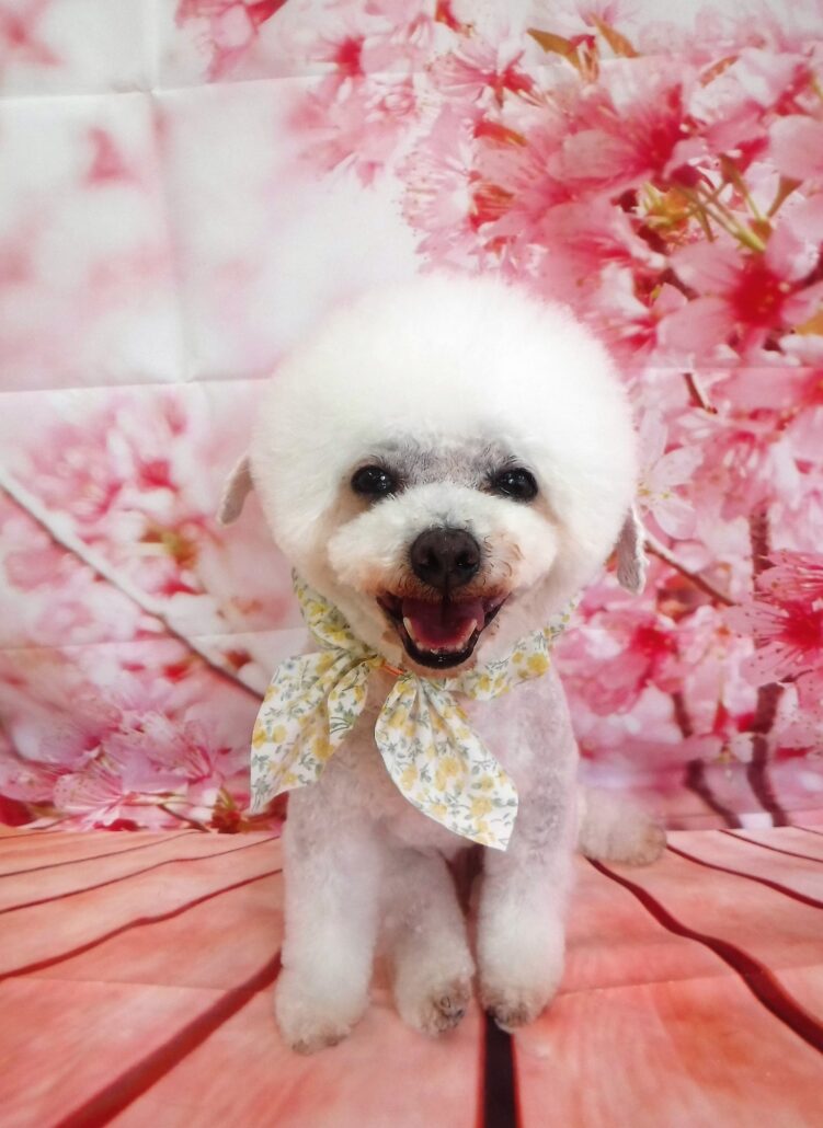 当店ゲンキ