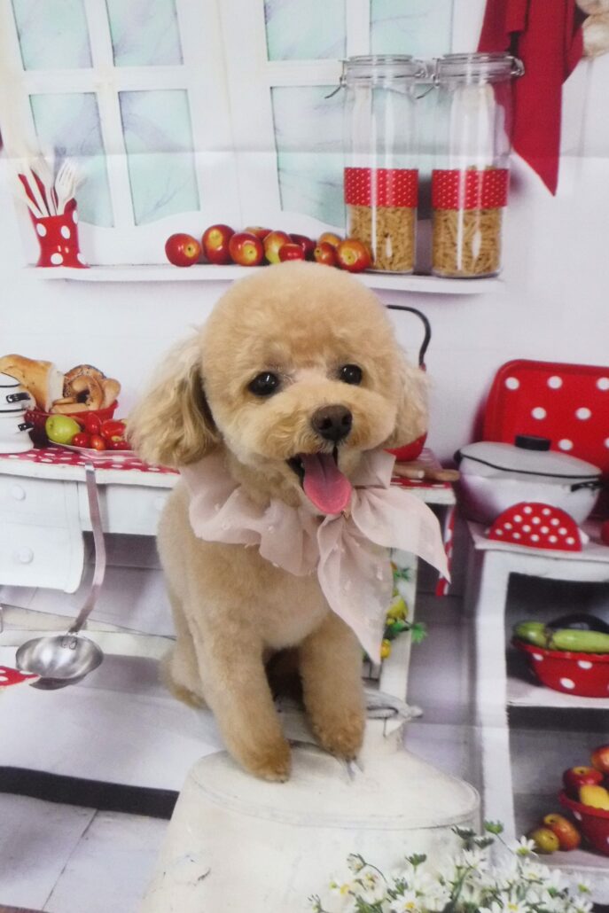 レオちゃん