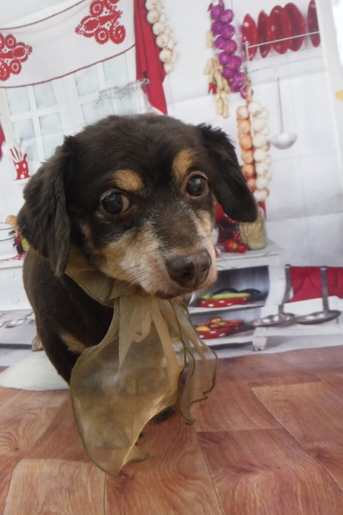 コマツちゃん