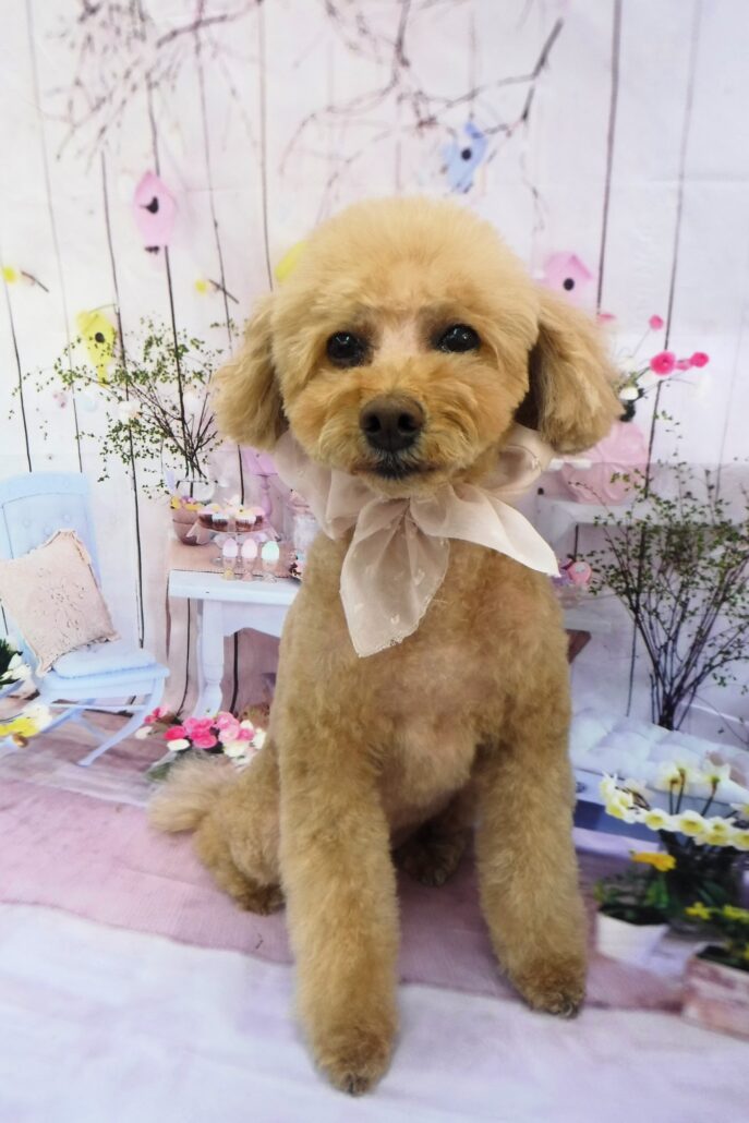 ナツちゃん