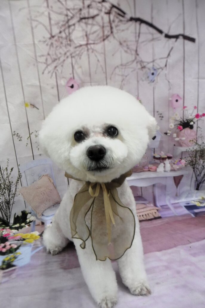 さすけちゃん