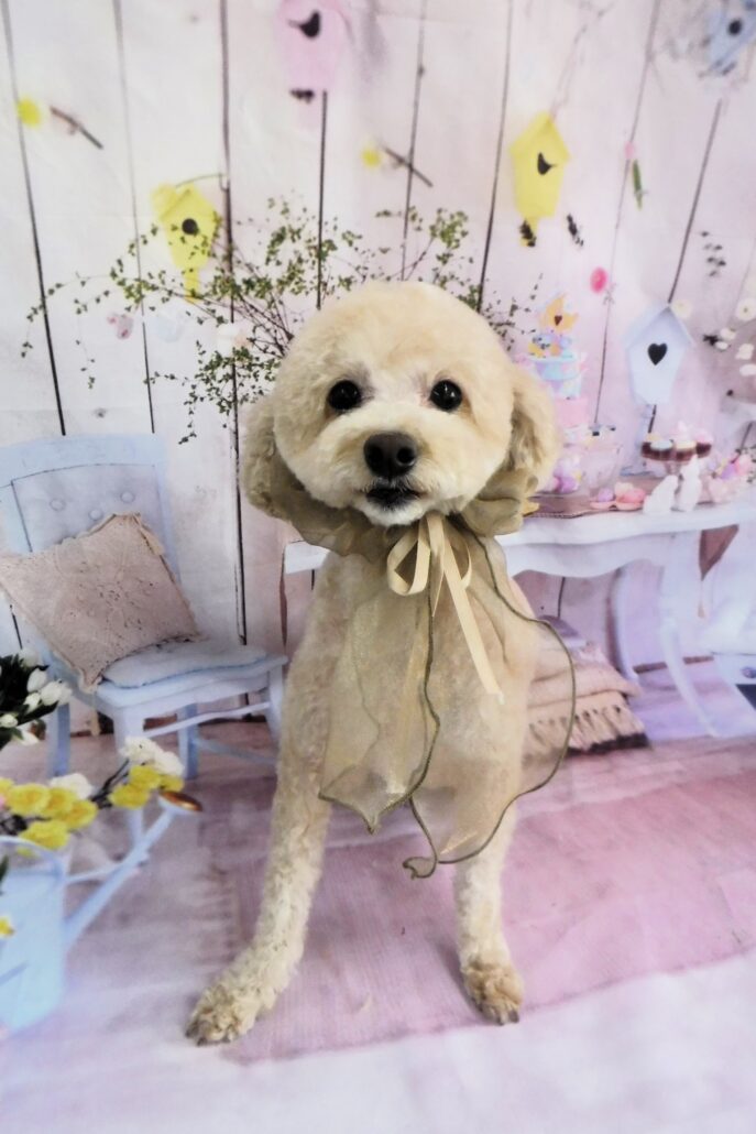 ゲンキちゃん