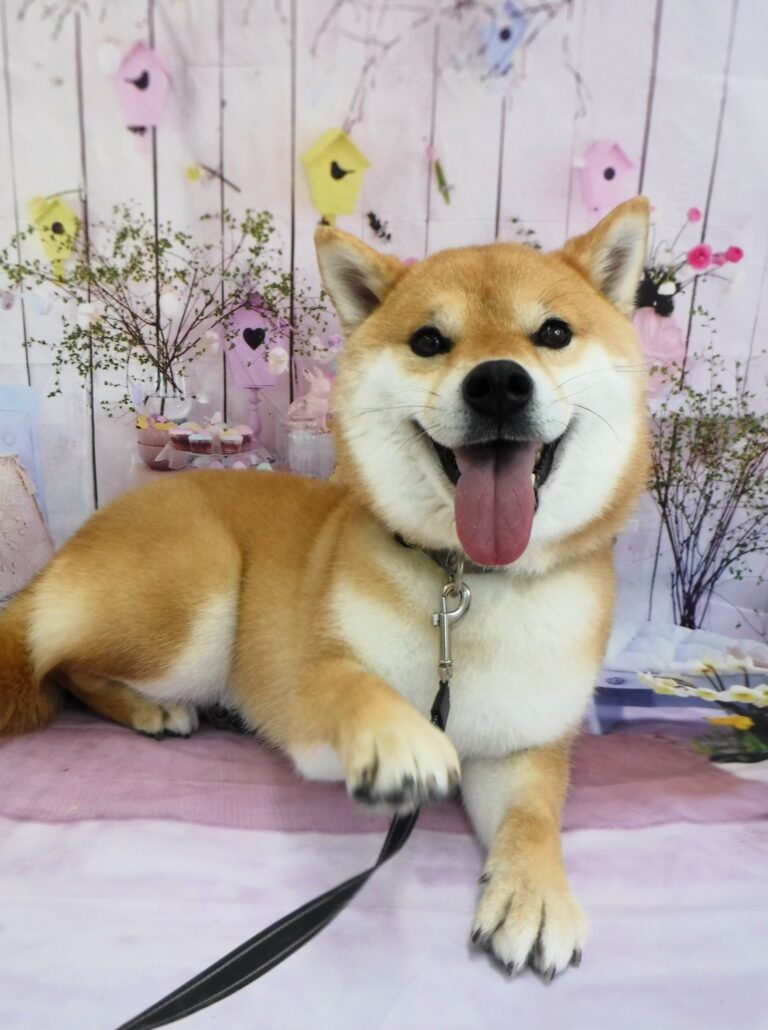 すずちゃん