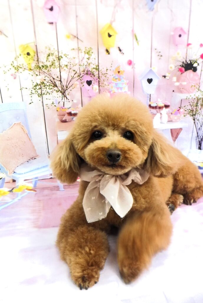 ミルクちゃん