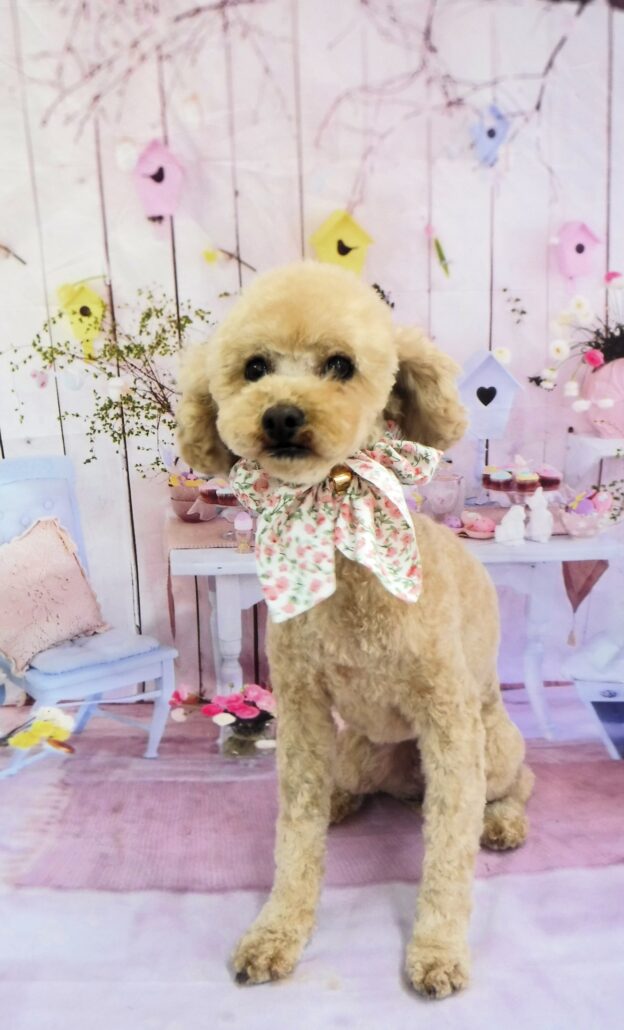 エリーちゃん