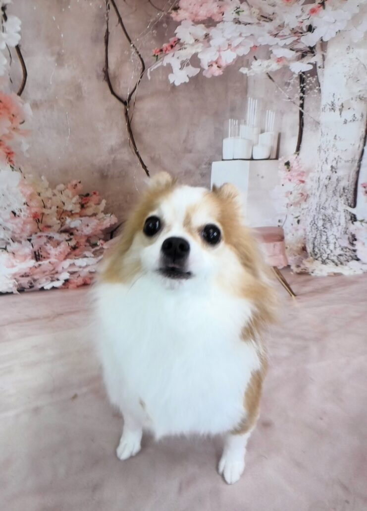 ゆずちゃん