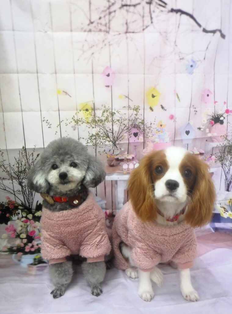 当店、ひめ＆美羽