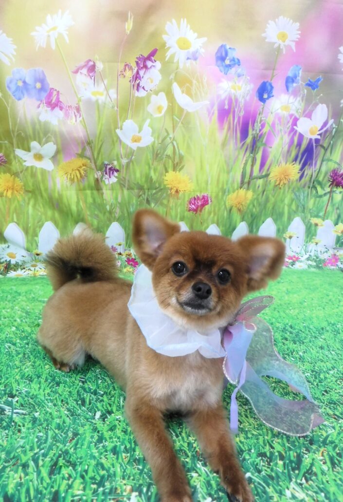 コタローちゃん