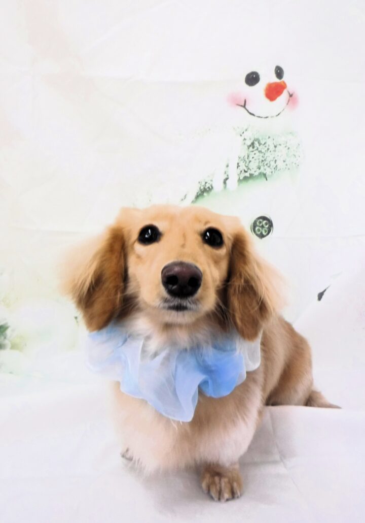 ジェイちゃん