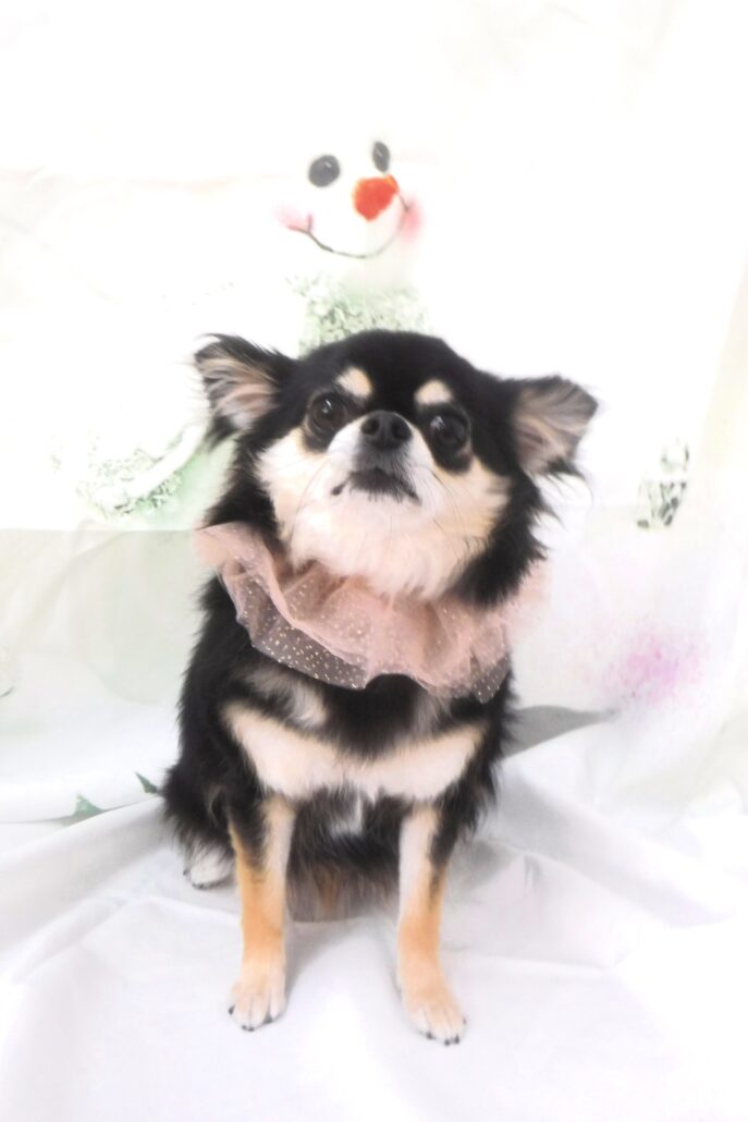こうめちゃん