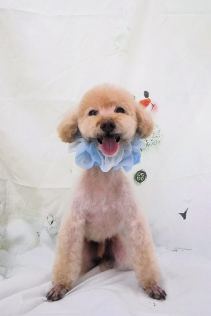 まるちゃん