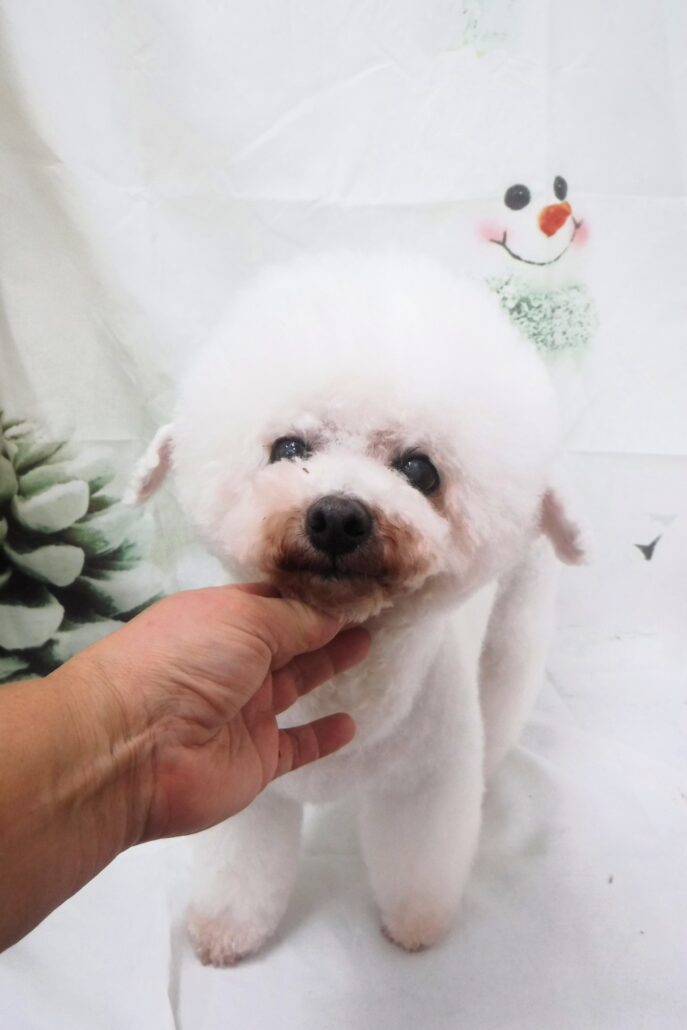 当店ゲンキ