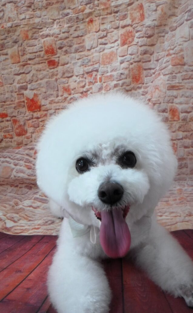 はっちーちゃん