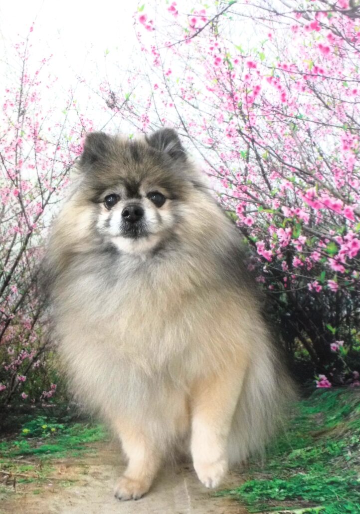 コタローちゃん