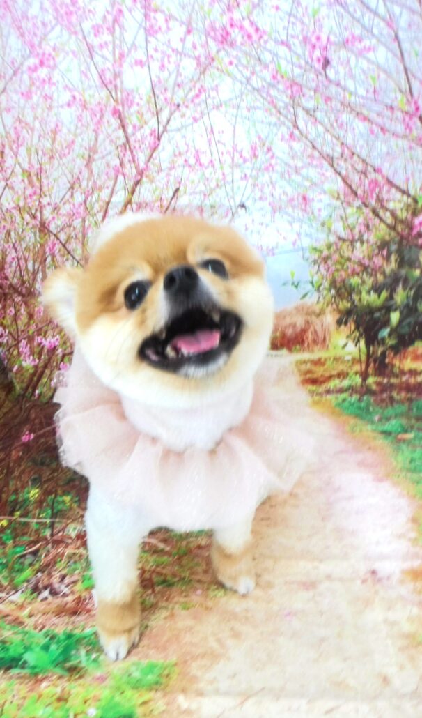 クリンちゃん