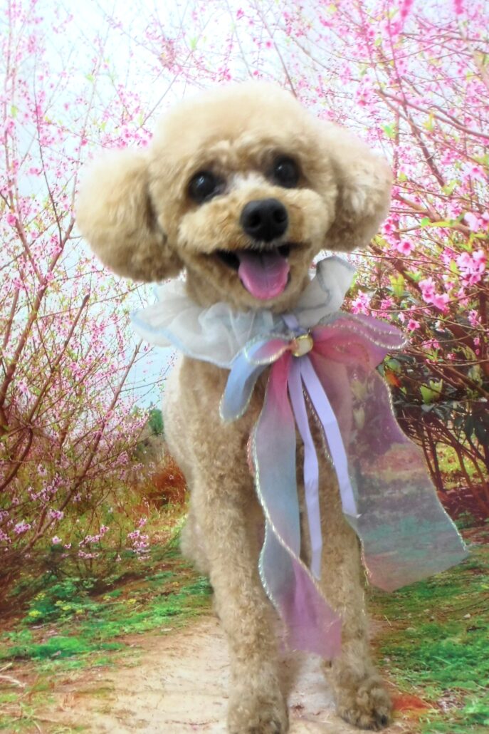 ぺぺちゃん