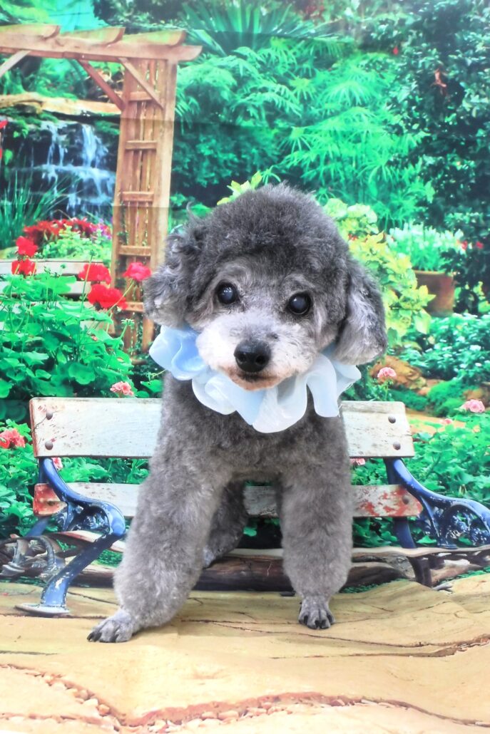 当店じろう