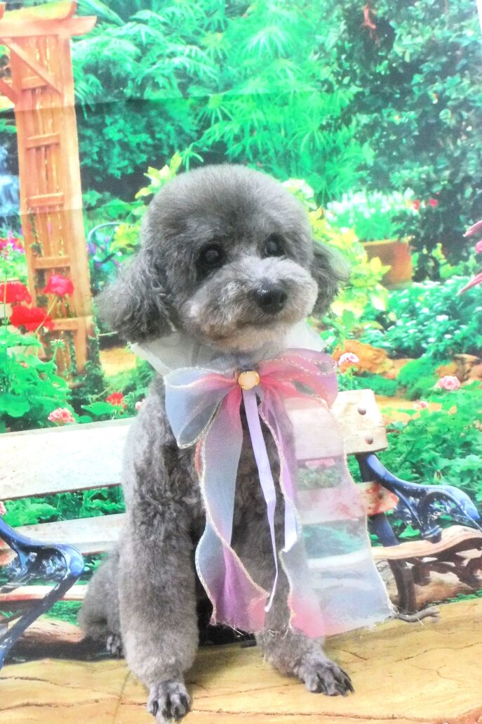 正馬ちゃん