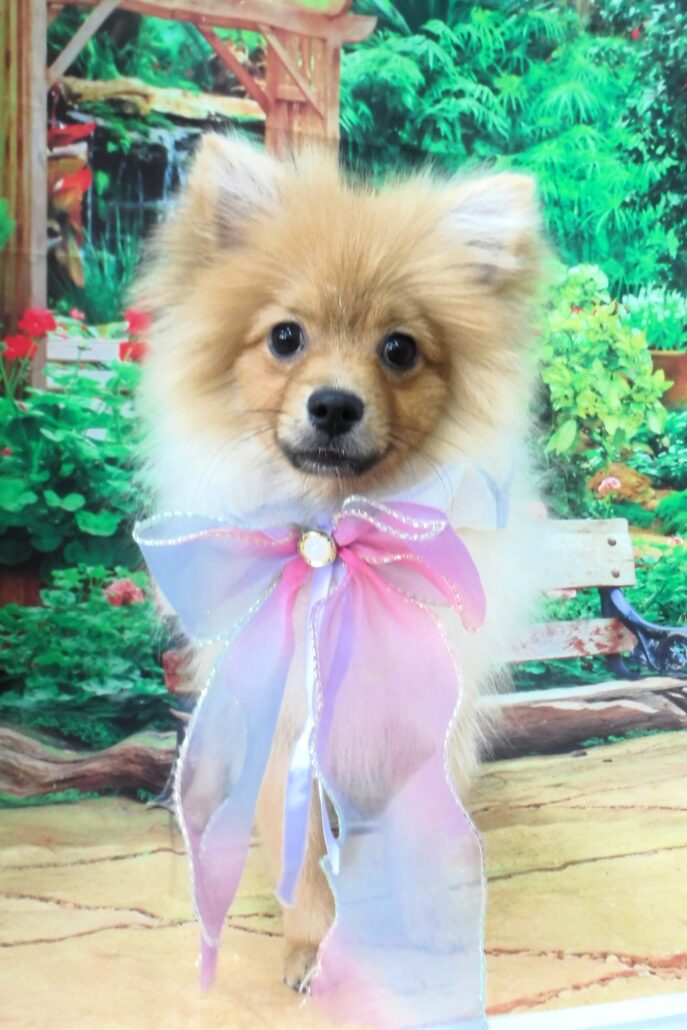 優一ちゃん