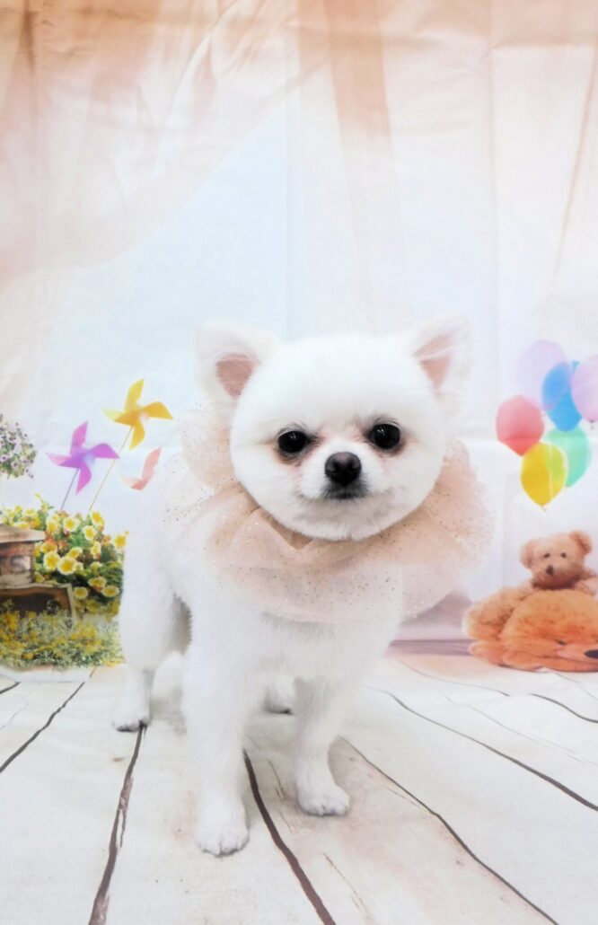 らむねちゃん