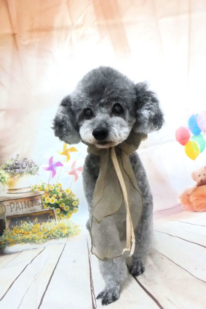 当店じろう