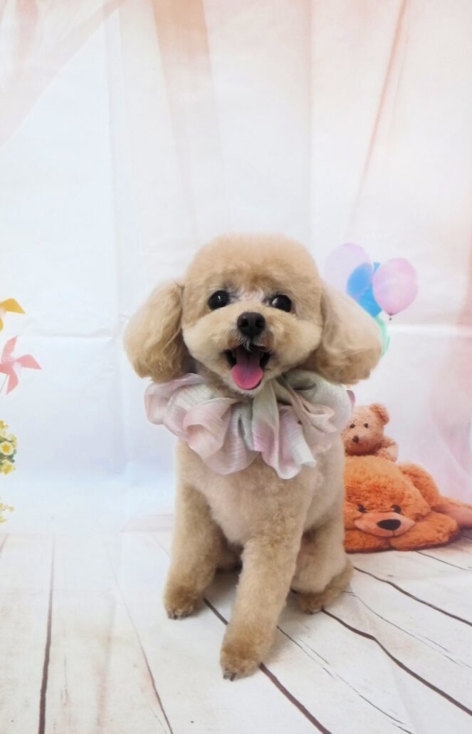 レオちゃん