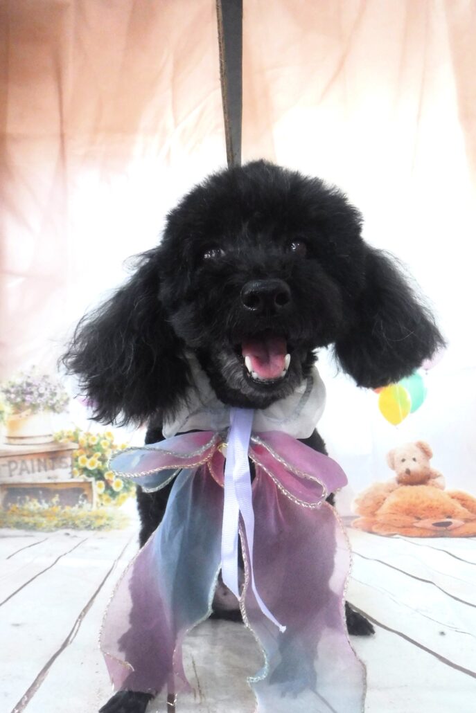 アロハちゃん