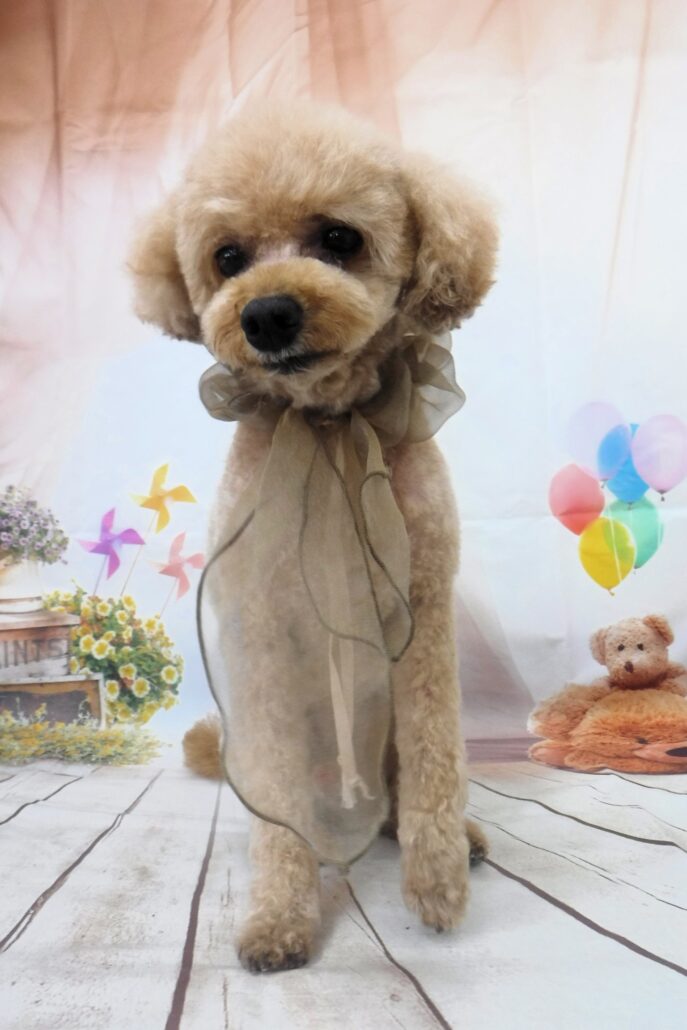 ぺぺちゃん
